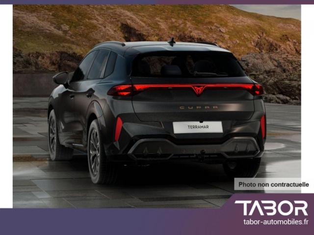 Cupra Terramar image 8
