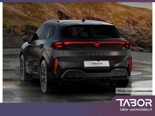 Cupra Terramar image 8