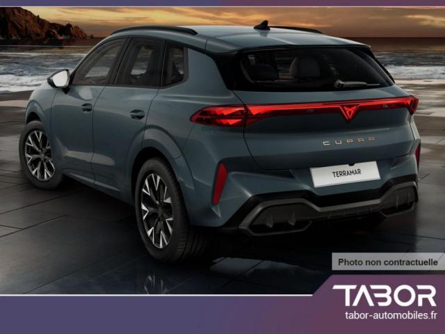 Cupra Terramar image 9