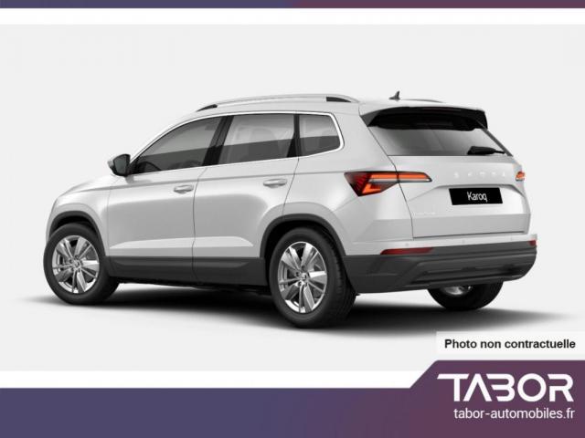 Skoda Karoq image 9