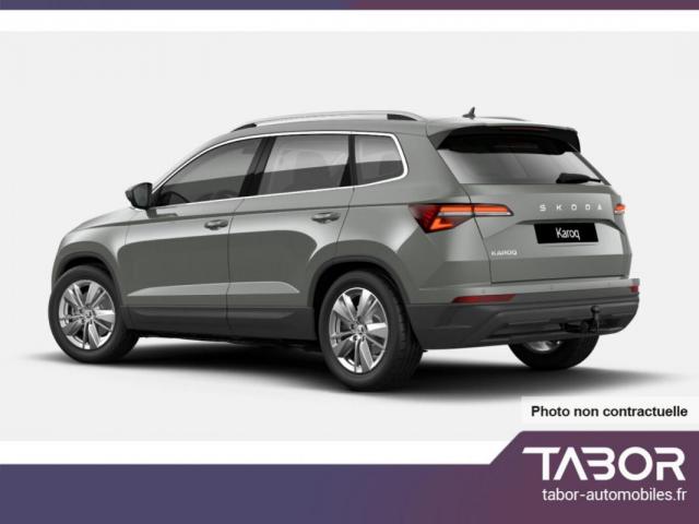 Skoda Karoq image 2