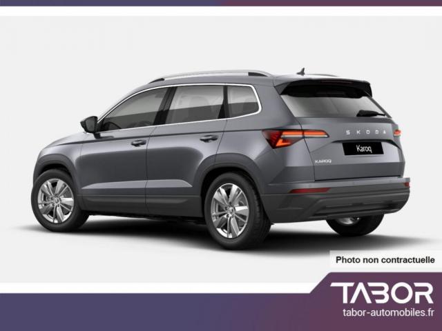 Skoda Karoq image 2