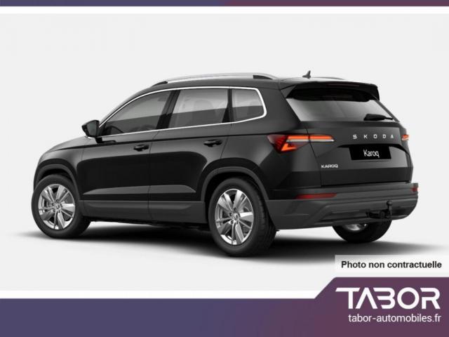 Skoda Karoq image 1