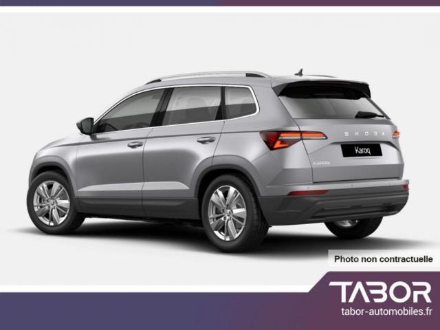 Skoda Karoq image 8