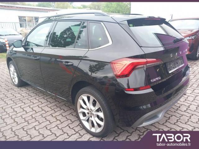 Skoda Kamiq image 1