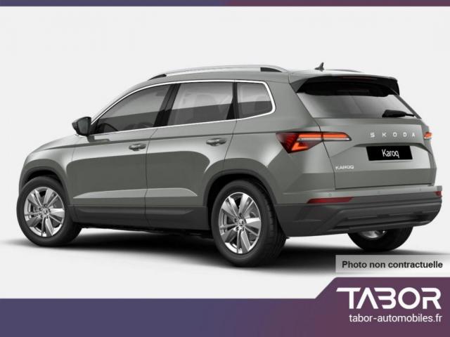 Skoda Karoq image 2