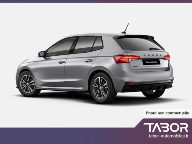 Skoda Fabia image 1