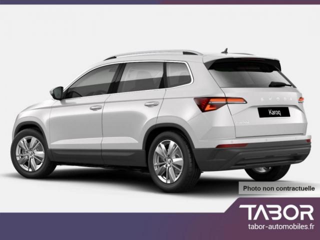 Skoda Karoq image 2