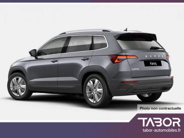 Skoda Karoq image 6