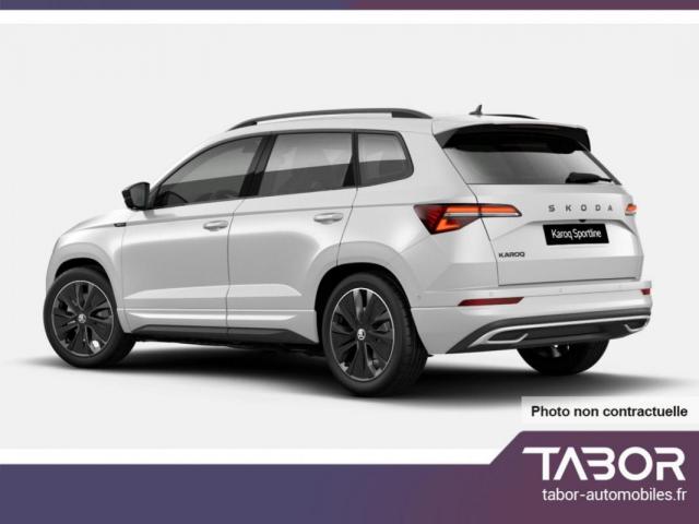 Skoda Karoq image 3