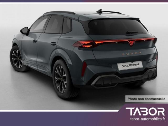 Cupra Terramar image 9