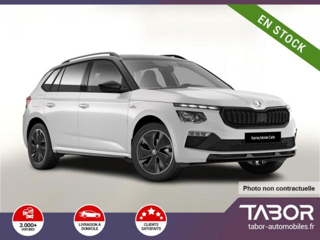 Skoda Kamiq Dsg Montec Pano Matrix Cam Kessy