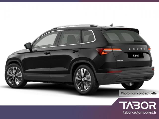 Skoda Karoq image 1