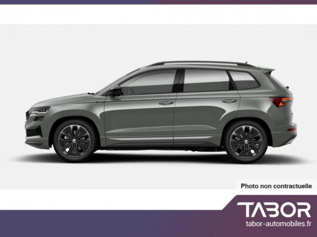 Skoda Karoq image 9