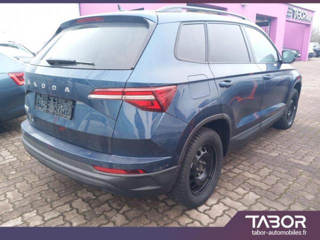 Skoda Karoq image 2