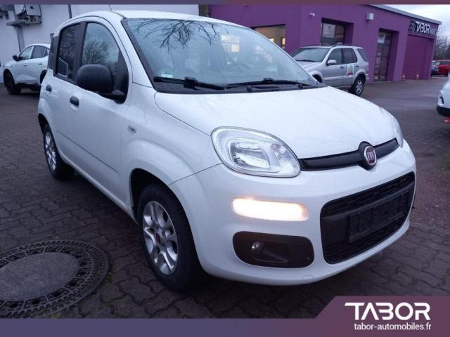 Fiat Panda image 1