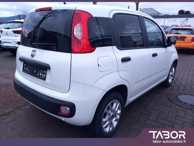Fiat Panda image 5