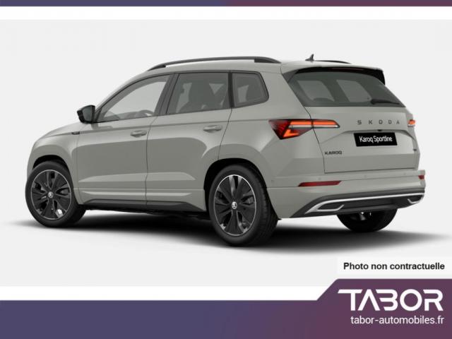 Skoda Karoq image 3