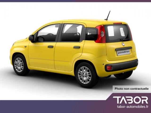 Fiat Panda image 2