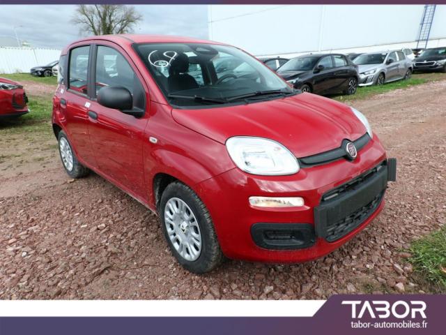 Fiat Panda image 1