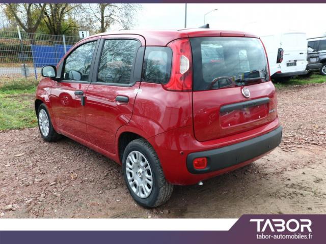 Fiat Panda image 5