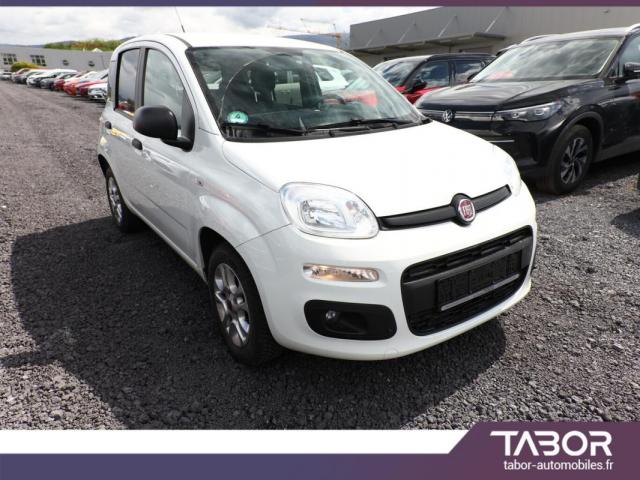 Fiat Panda image 2