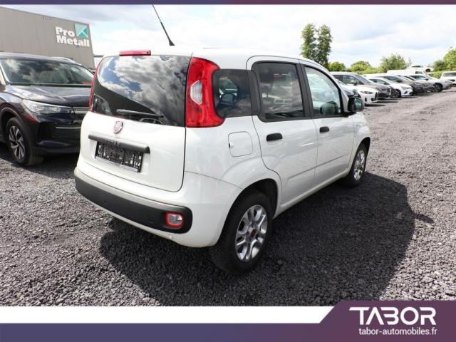 Fiat Panda image 4
