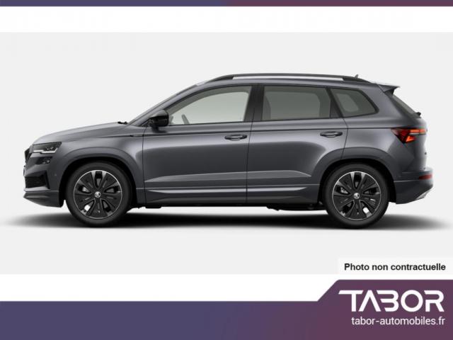 Skoda Karoq image 9