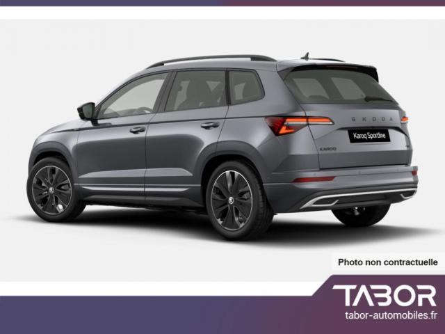 Skoda Karoq image 6