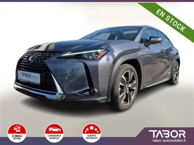 Lexus Ux 250h Luxury Line Matrix Led Pano Cam