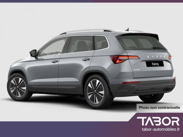 Skoda Karoq image 2