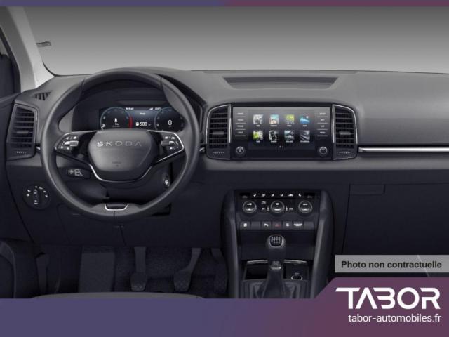 Skoda Karoq image 1
