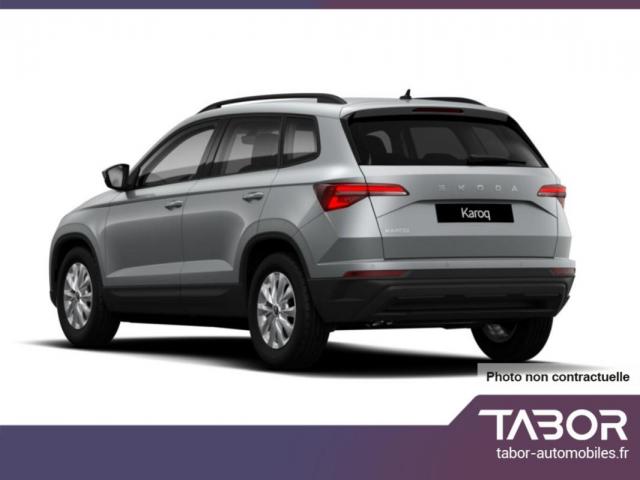 Skoda Karoq image 6