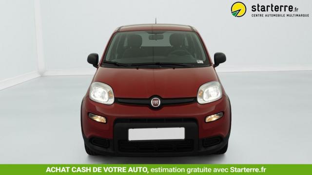 Fiat Panda image 6