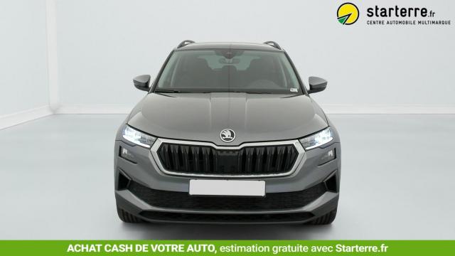 Skoda Karoq image 1
