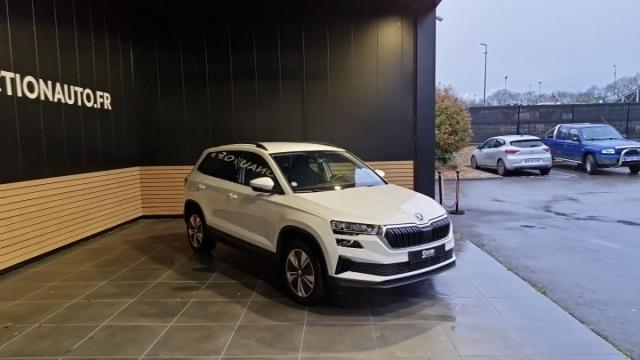 Skoda Karoq image 1