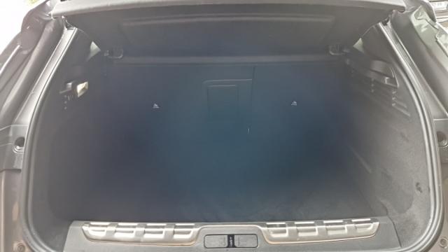 Ds Ds 4 image 3