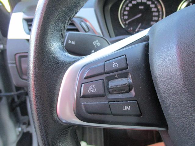 Bmw X1 image 7
