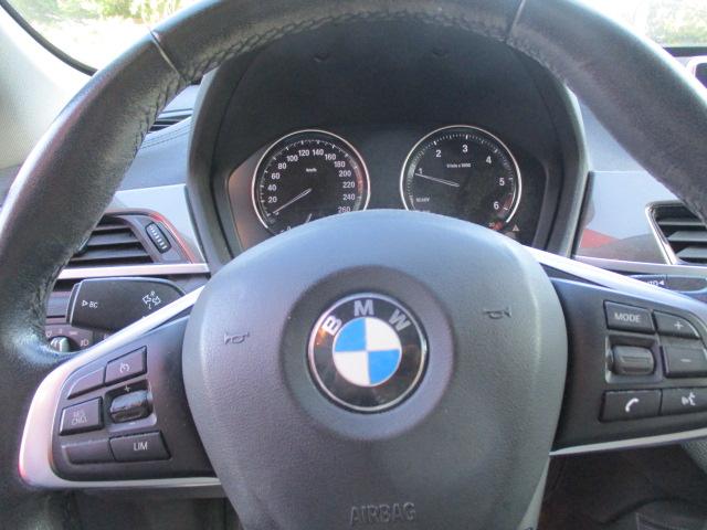 Bmw X1 image 1
