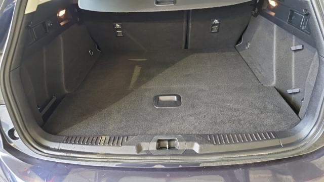 Ford Focus image 6