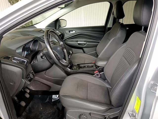 Ford Kuga image 1