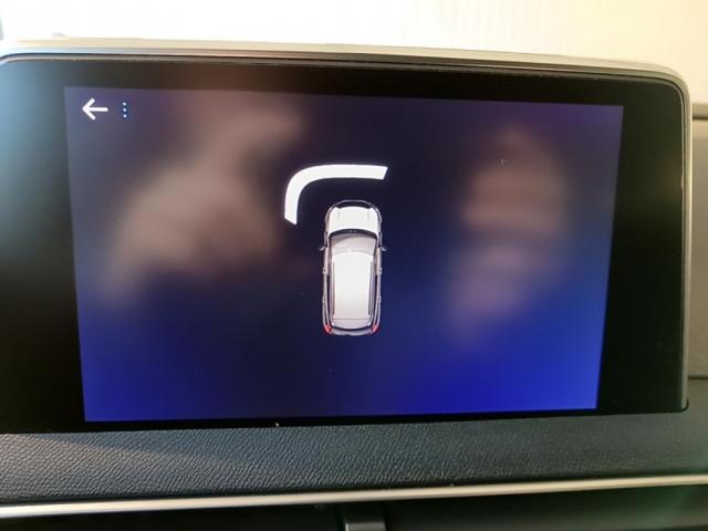 Peugeot 3008 image 1