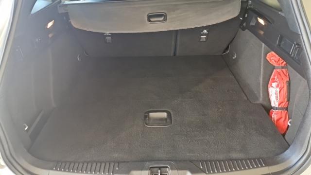 Ford Focus image 4