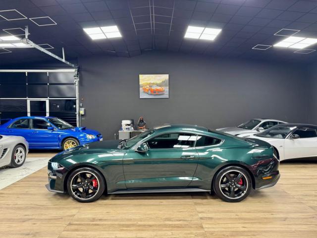 Ford Mustang image 1