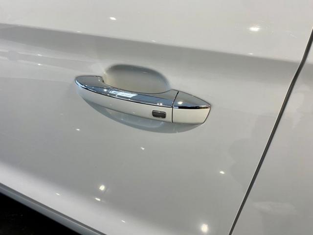 Mg Zs image 8