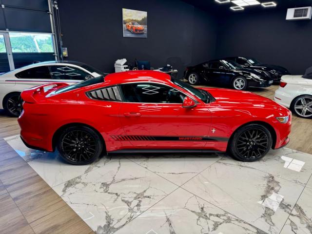 Ford Mustang image 4