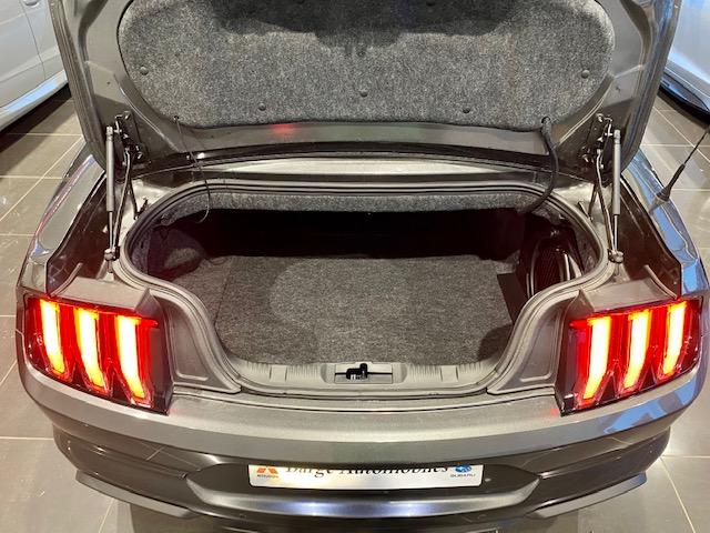 Ford Mustang Convertible image 5