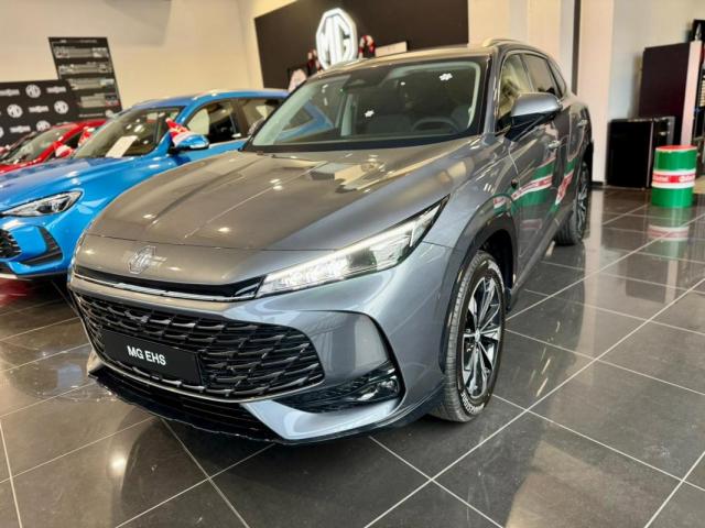 Mg Ehs image 2