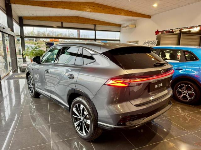 Mg Ehs image 9