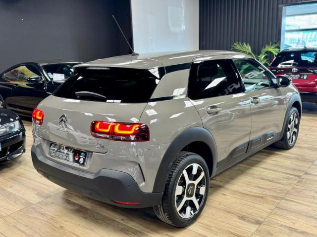 Citroen C4 Cactus image 7